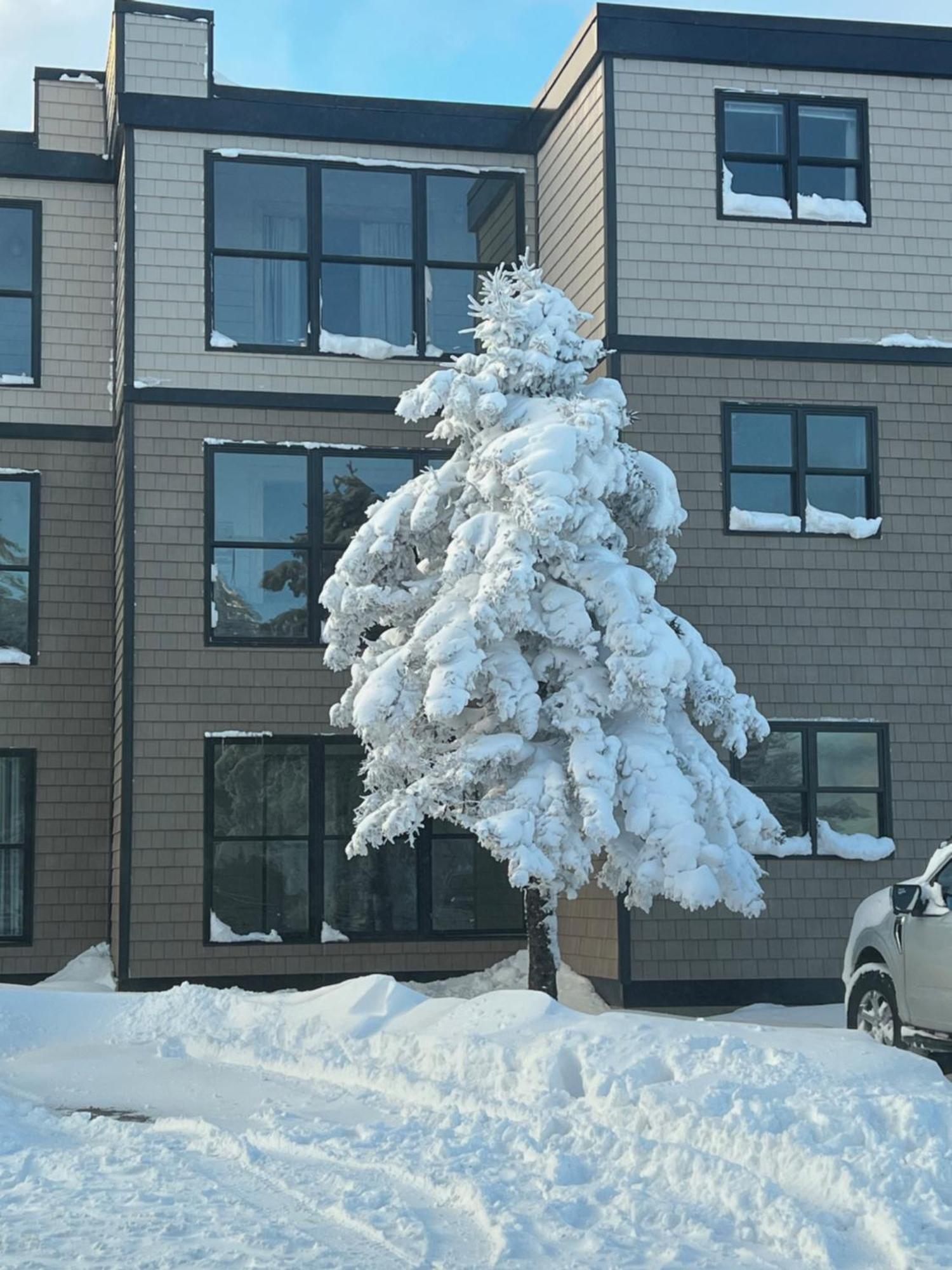 Snowcrest Condo Walking Distance To Slopes Snowshoe Εξωτερικό φωτογραφία